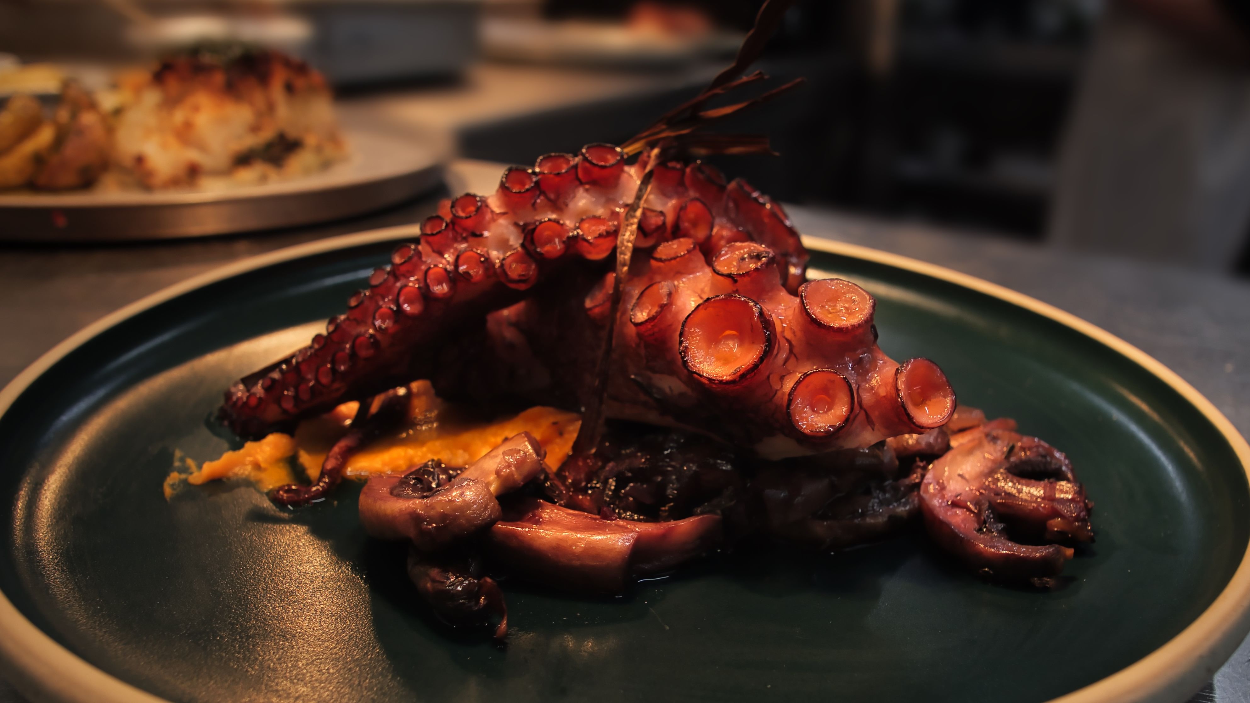 Image of a beautiful Octopus dish at our local restaurant in Porto, part of Cooltour Oporto's Fado Dinner Show with Night Tour