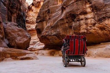 Private Day Trip to Petra and Little Petra from Wadi Rum