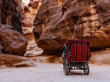 Private Day Trip to Petra and Little Petra from Wadi Rum