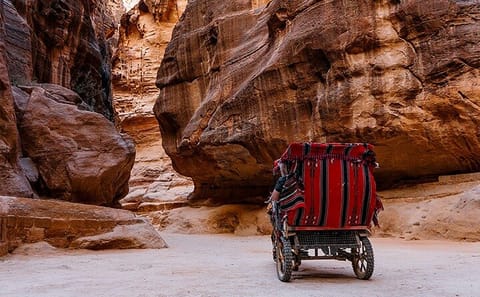 Private Day Trip to Petra and Little Petra from Wadi Rum