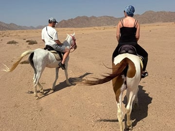 Horseback Riding Adventure in Nabq Bay, Sharm El-Sheikh