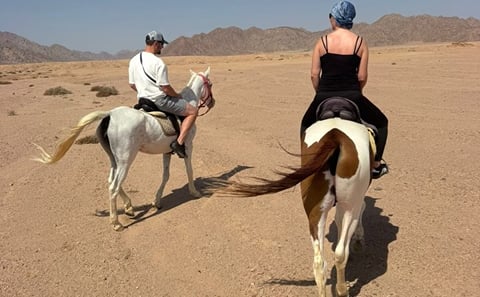 Horseback Riding Adventure in Nabq Bay, Sharm El-Sheikh