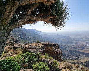 WILDLIFE HIKE TO MIRBAT