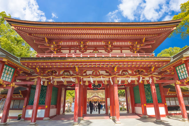Private Full-Day Fukuoka Custom Tour by Chartered Vehicle photo 3