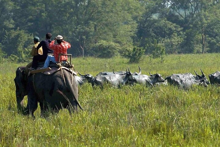 Assam & Arunachal The Buddhist Monasteries & Tribal Culture Tour
