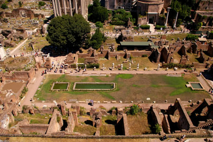 Visita Coliseo con Arena de Gladiadores, Foro y Palatino