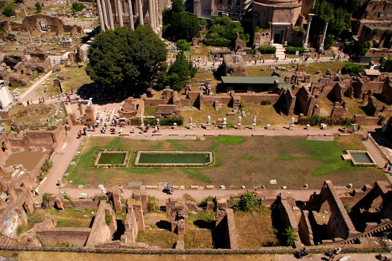 Visita Coliseo con Arena de Gladiadores, Foro y Palatino 5