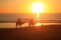 Sunset Camel Ride and ATV Combo Adventure in Los Cabos 1
