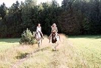 Discover Forests &amp; Rivers with 2 Hours Horseback Riding – Agadir