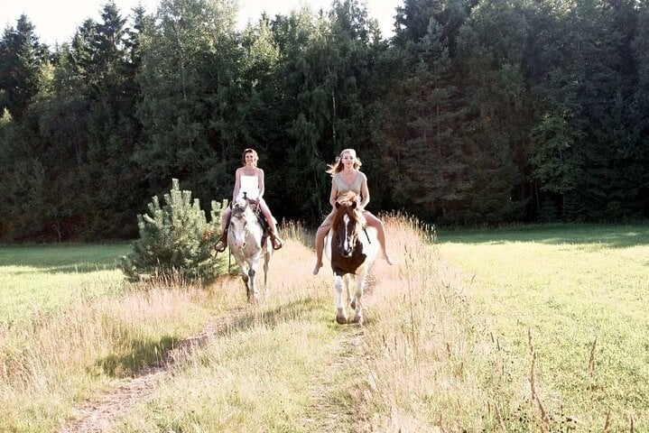 Discover Forests & Rivers with 2 Hours Horseback Riding – Agadir