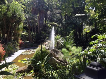 2-Day Private Wellness Retreat in Ischia, Campania