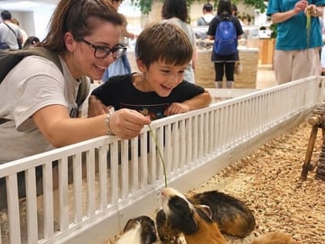 Personalized Tokyo Kid-Friendly Tour: Animals, Arcade & More