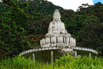 Hoi An: Full-day Bach Ma National Park Trek And Beach Retreat