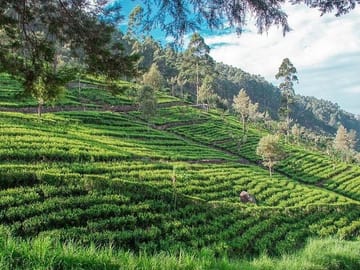Glamour Of Sri Lanka | 7 Days