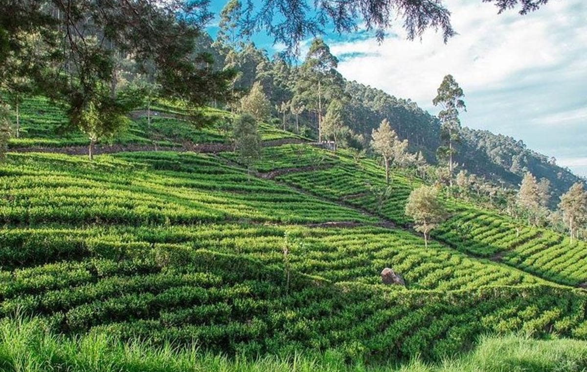 Glamour Of Sri Lanka | 7 Days