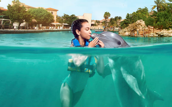 Riviera Maya Puerto Aventuras - Dolphin Encounter 