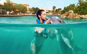Dolphin Encounter in Riviera Maya