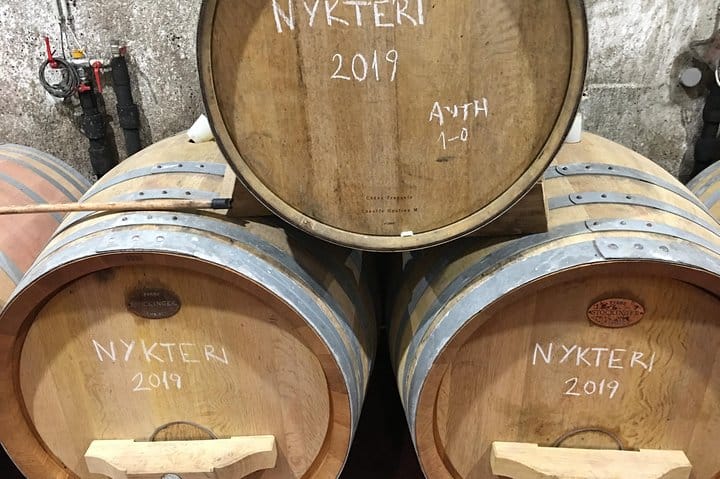 Vip Tour Giza pyramids, sphinx with Camel Ride and Vip lunch