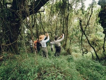 3-Day Wildlife Safari Tour in Chitwan National Park from Kathmandu