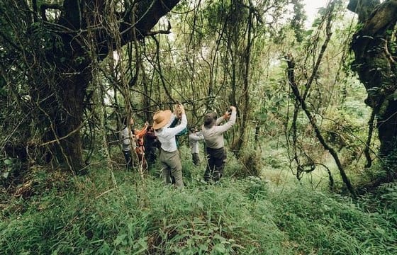 3-Days Chitwan National Park Tour from Kathmandu by private vehicle