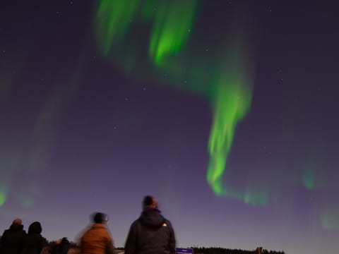 Northern Lights w/Aurora Viking - free pro photos - unlimited retries – minibus, photo 4