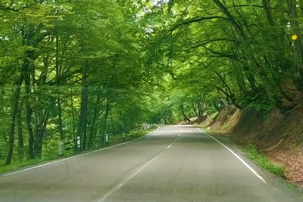 Things to do in Kakheti