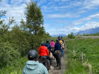 Horse Riding Tour and Explore Scenery in Gásir Akureyri, photo 14