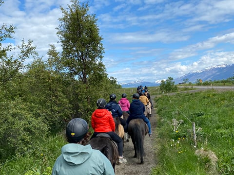 Horse Riding Tour and Explore Scenery in Gásir Akureyri, photo 14