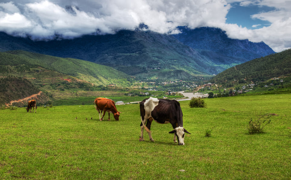 Cultural and Scenic Tour of Bhutan and Nepal - 15 Days