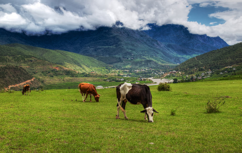 Magical Nepal Bhutan Tour – 15 Days