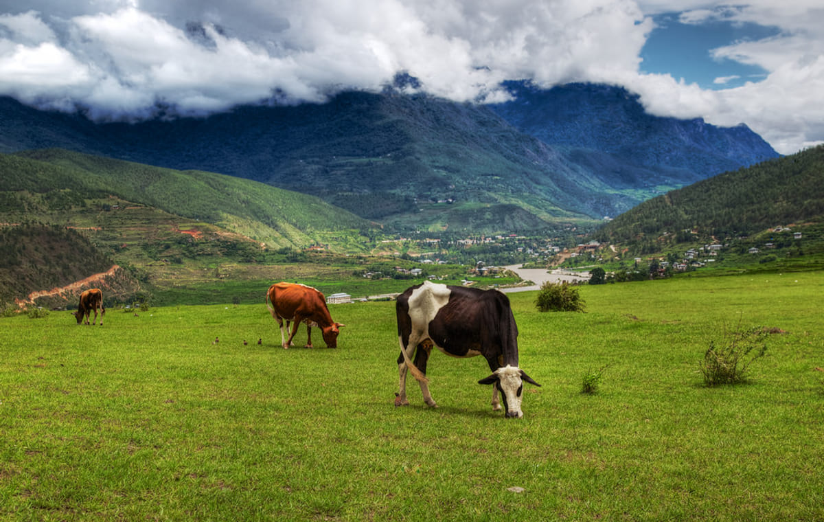 Magical Nepal Bhutan Tour – 15 Days