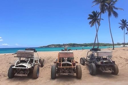 Buggy & ATV adventures-# 1 in puntacana (macao )