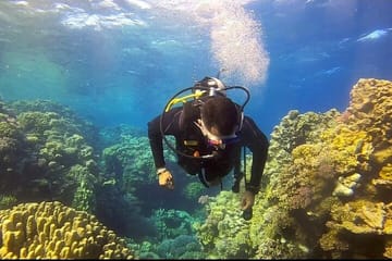 Yacht Tour and Dolphin Swimming Experience in Hurghada