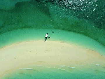 Pungume Island snorkeling