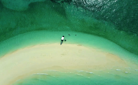 Pungume Island Dolphin Tour and Snorkeling with BBQ Lunch