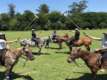 Polo Lesson and Argentine Barbecue Experience in Buenos Aires