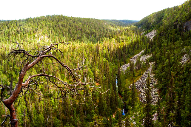 Trip to Korouoma Canyon - Rovaniemi photo 3