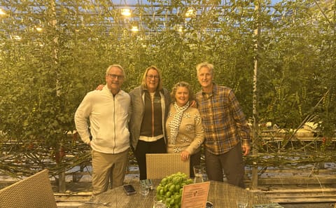 Private Golden Circle Tour with Fridheimar Farm Visit from Reykjavik