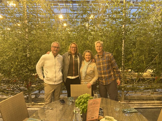 Golden Circle Private Tour & Fridheimar Farm Visit from Reykjavik