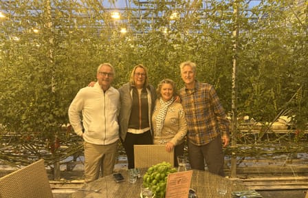 Private Golden Circle Tour with Fridheimar Farm Visit from Reykjavik