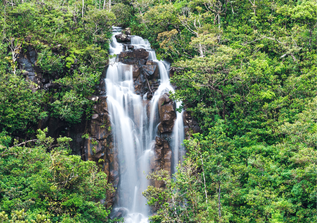 Mauritius: South Bus Tour with Lunch and Entry Fee