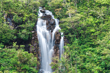 South Mauritius Bus Tour with Lunch and Nature Walk