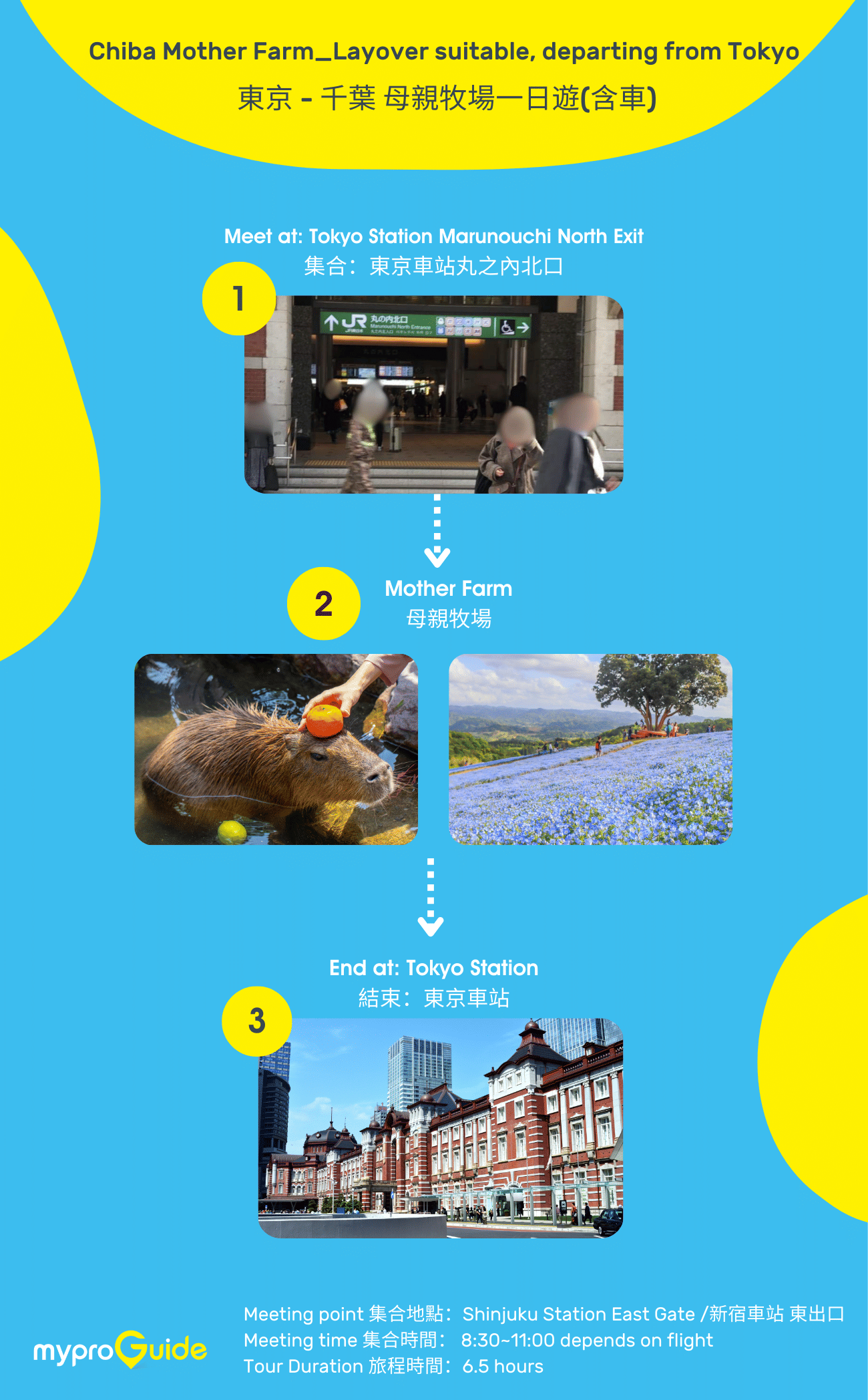 MyProGuide Japan | Reliable Japan Local Day Tour Guides