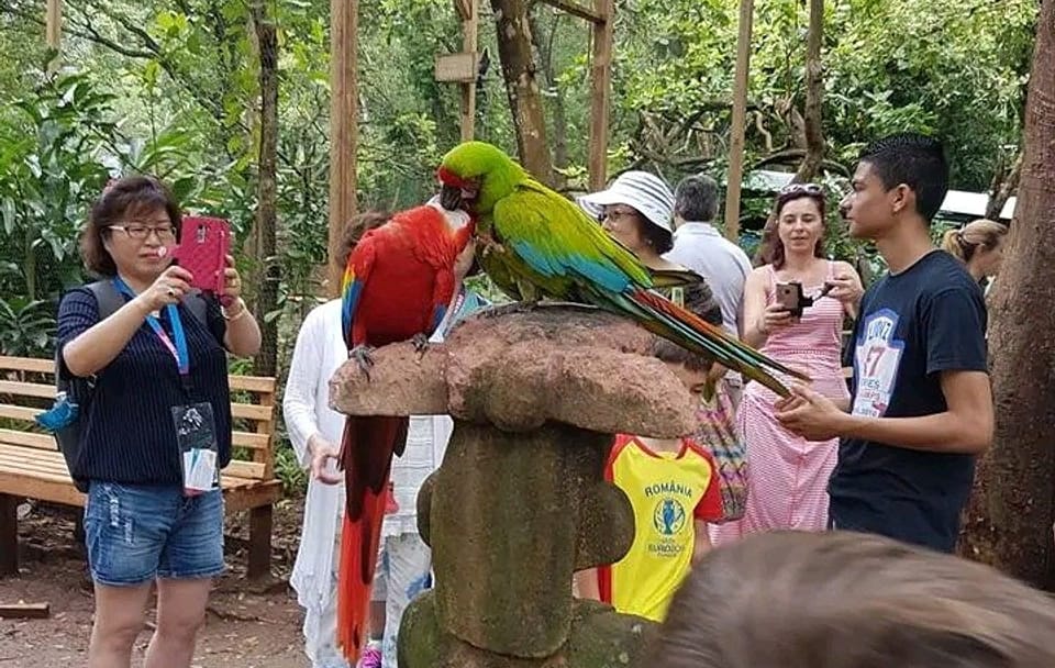 Manawakie Wildlife sanctuary and Macaw Market