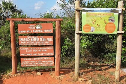 Shimba Hills National Reserve Day Tour with Sheldrick Falls