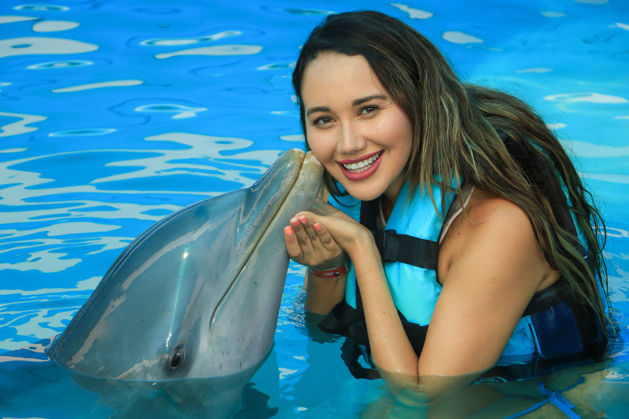 Encuentro con Delfines + Parque Acuático en Puerto Vallarta 8