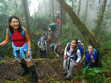 7 Day Kilimanjaro Climb – Machame route
