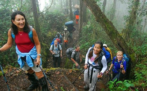 7 Day Kilimanjaro Climb – Machame route