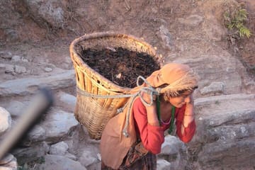 Homestay Experience with a Local Family in Kumpur, Nepal