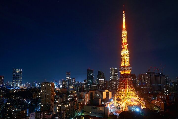 Full Day Tokyo Private Tour by Luxury Vehicle